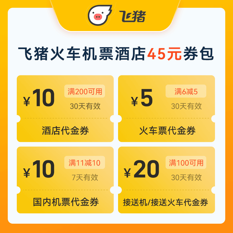 【自动充值】飞猪火车机票券包45元