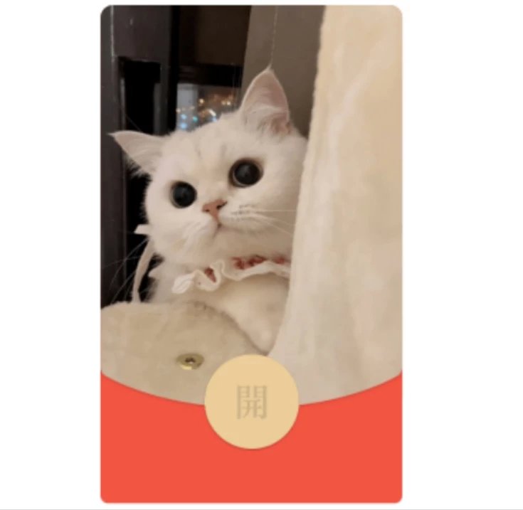 【红包封面】萌猫猫bao