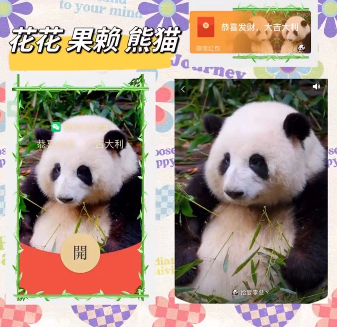 【红包封面】花花果赖熊猫lp