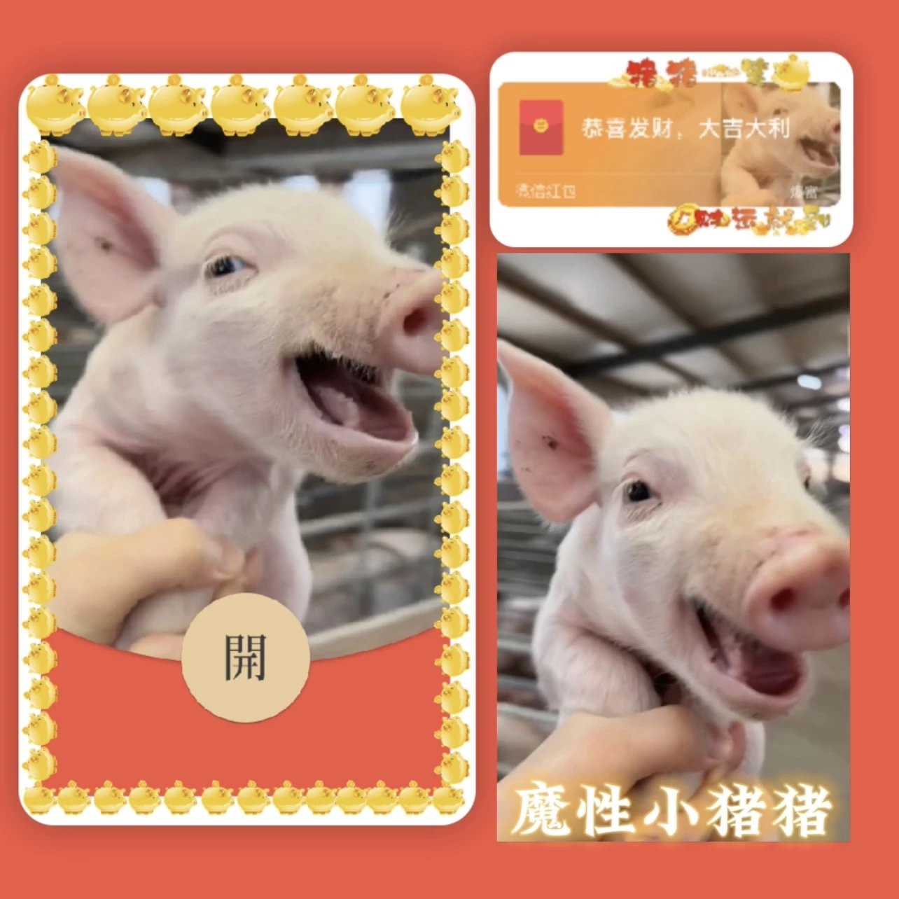 【红包封面】魔性小猪猪hg
