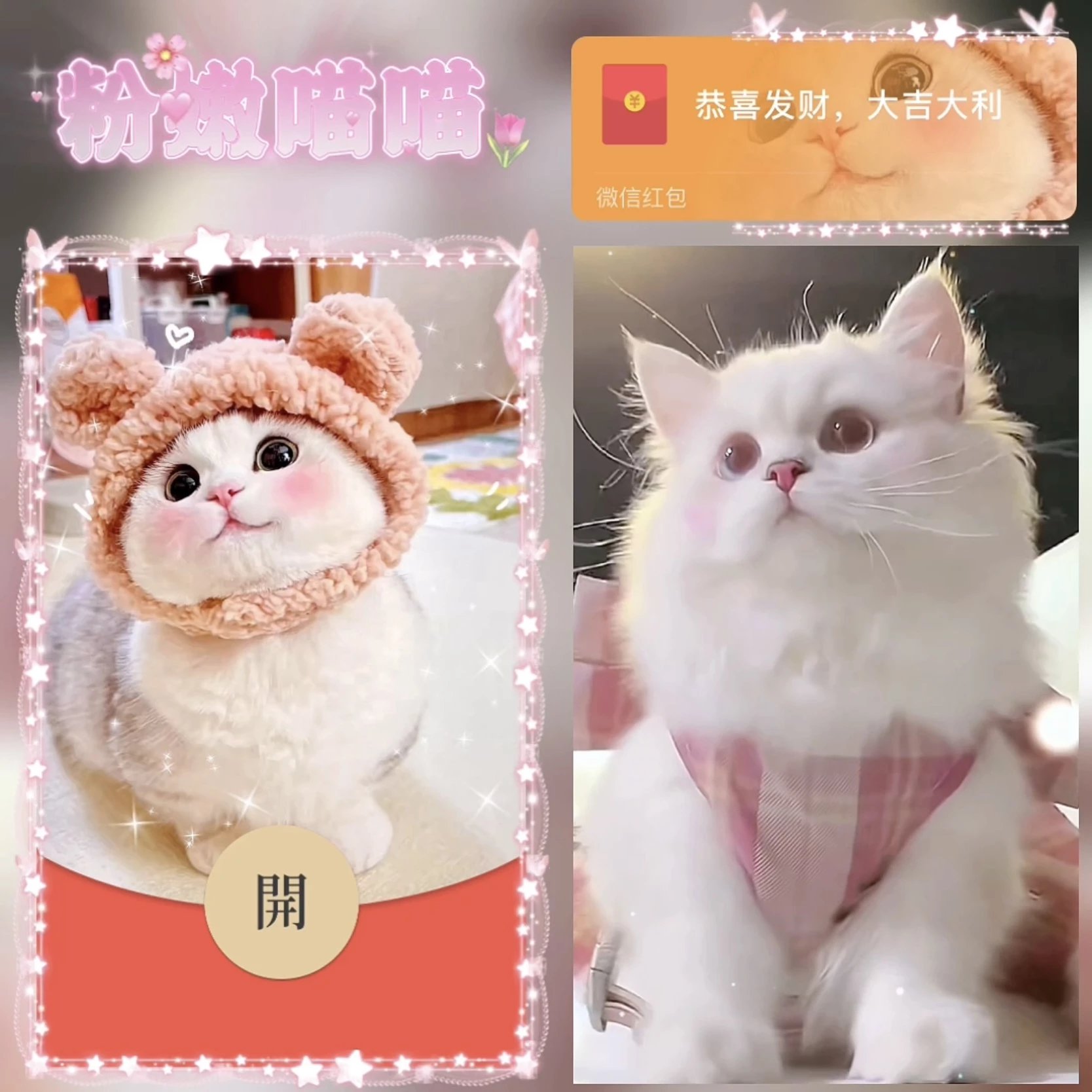 【红包封面】粉嫩喵喵bz
