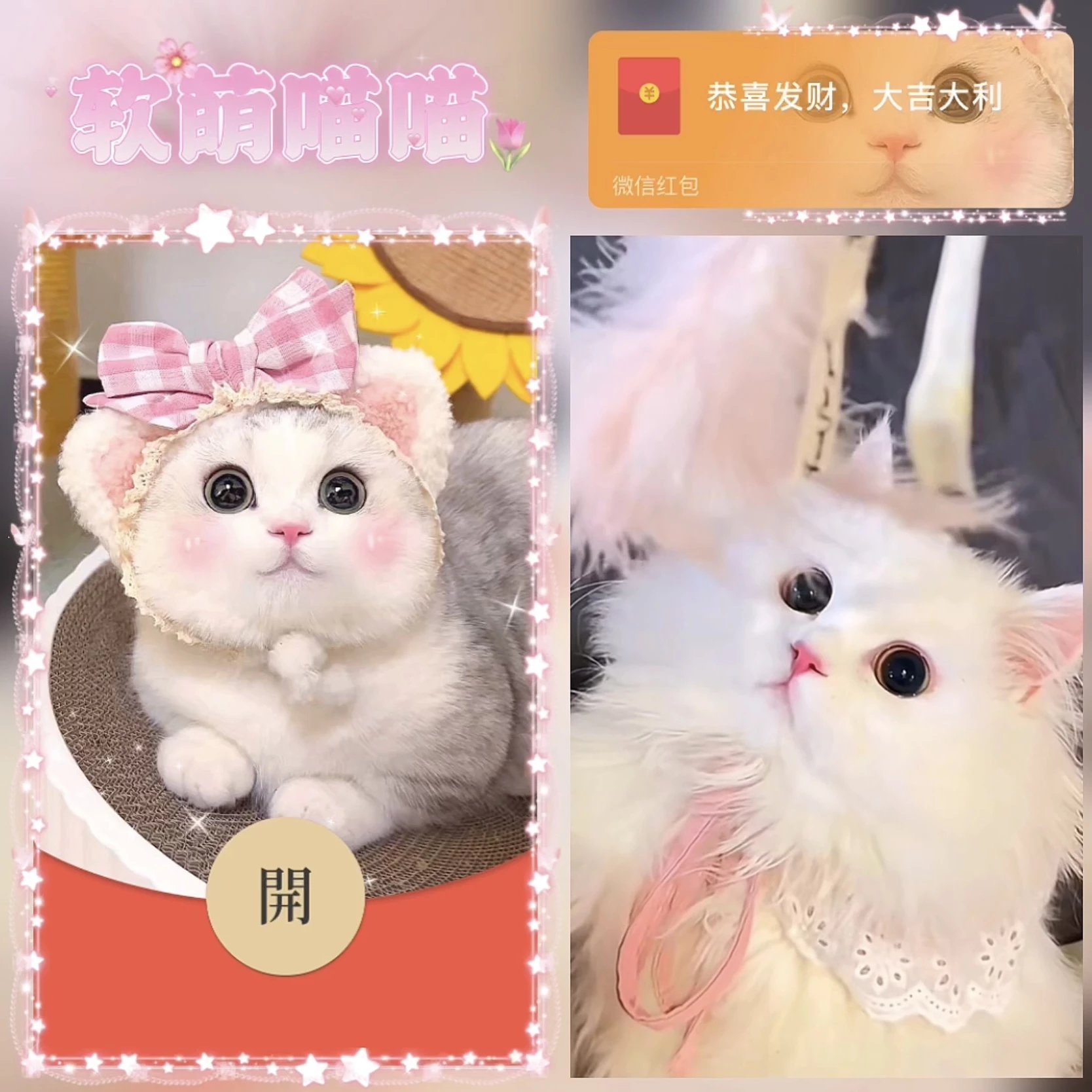 【红包封面】软萌喵喵bz