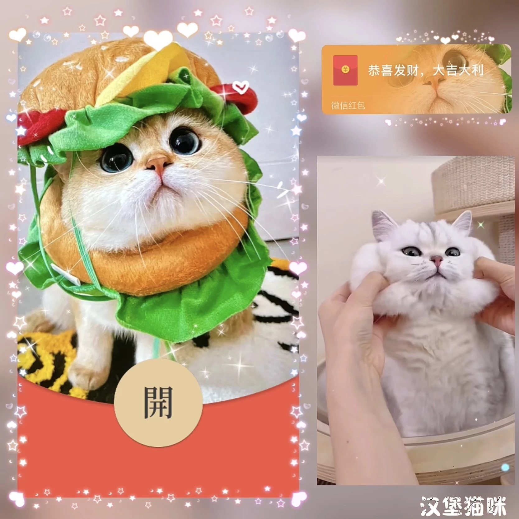 【红包封面】汉堡猫咪bz